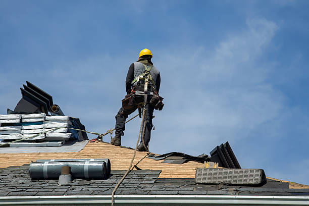 Professional Roof Repair technician working in Crosby, ND